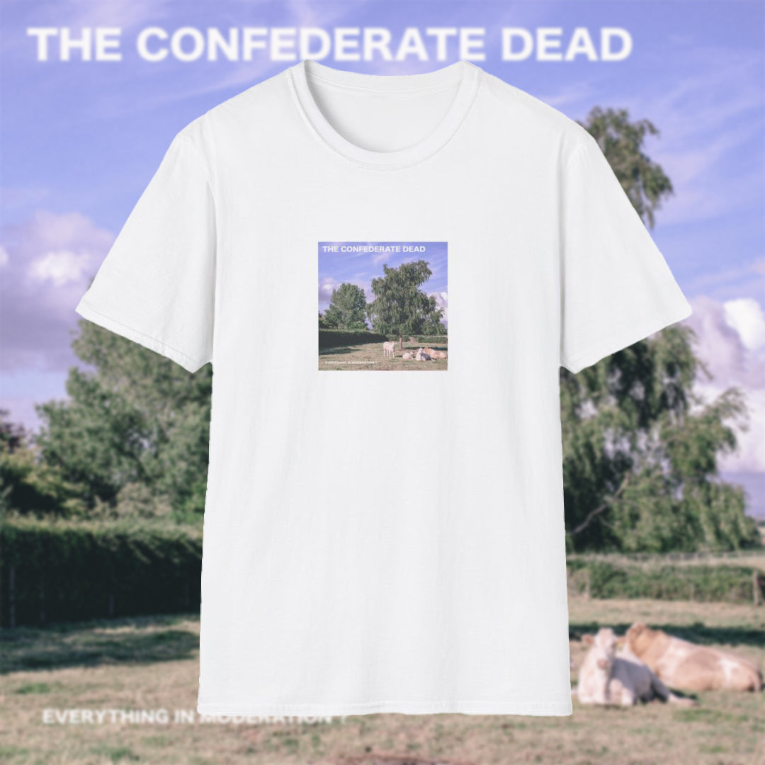 'Everything In Moderation?' Unisex T-Shirt