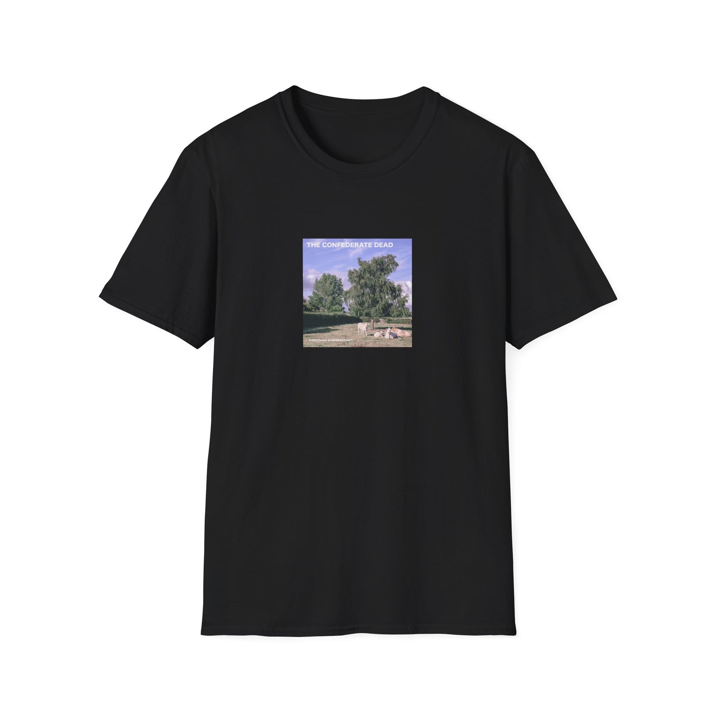 'Everything In Moderation?' Unisex T-Shirt